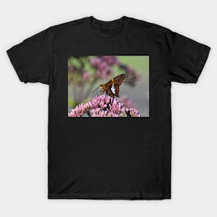 Silver spotted skipper T-Shirt